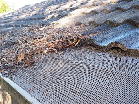 A house roof with dry leaves accumulated in the gutter