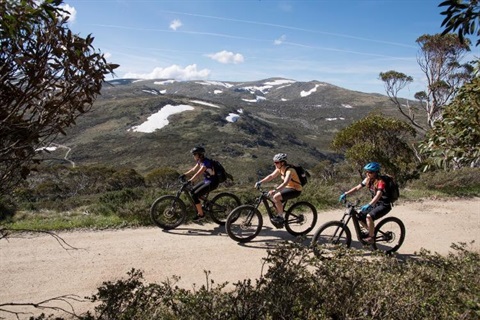 A group of friends cycling on a trail in the mountains