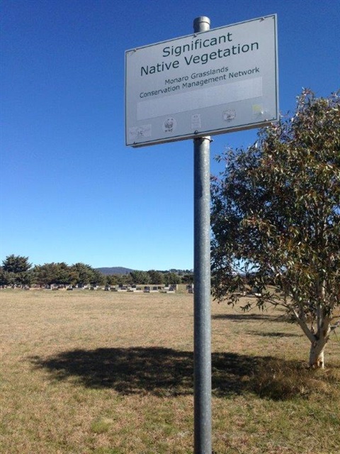 Native vegetation sign in cemetery