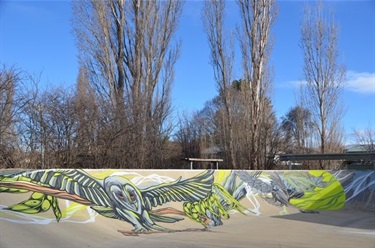 Artwork on Berridale Skatepark