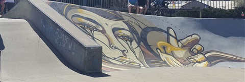 Cooma Sk8 park.jpg