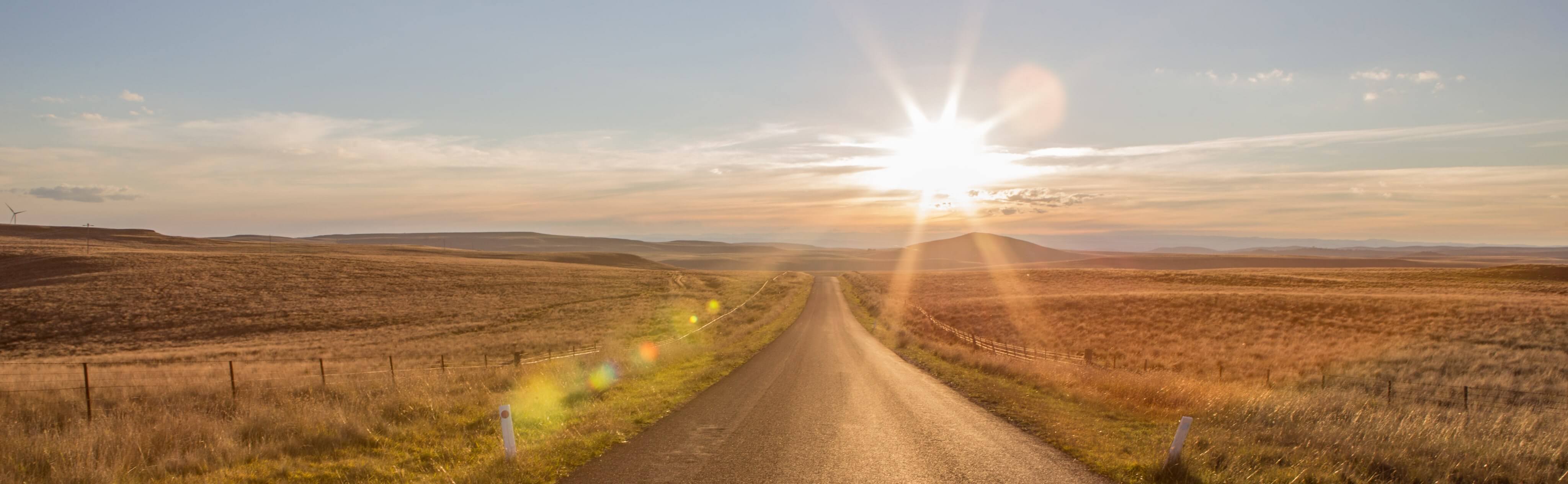 Springfield-Road.jpg