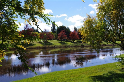 Bombala River Walk.JPG