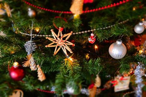 Christmas Tree - Close-up