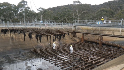 Wet wipes, paper towel etc at waste water facility.jpg