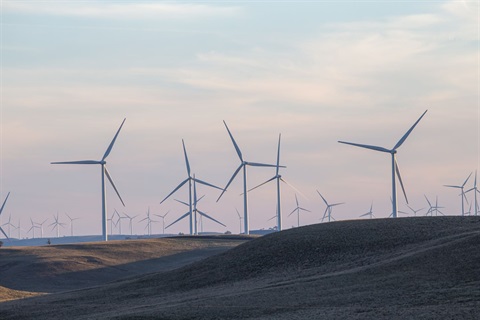 Boco Rock Windfarm.jpg