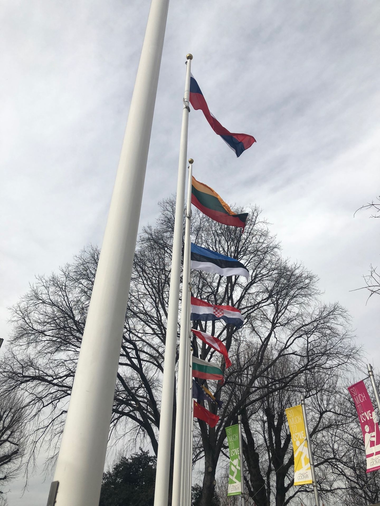 Looking up at some of the flags on Avenue of flags