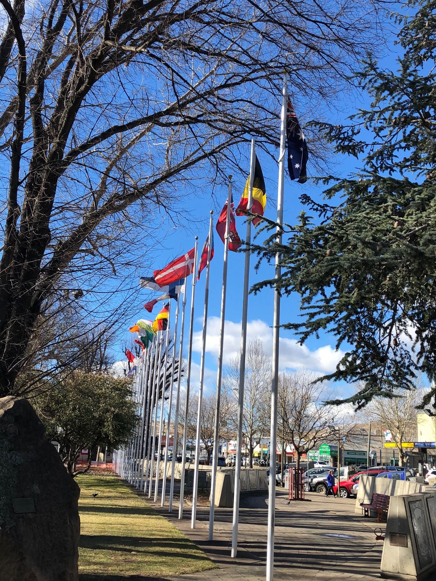 A shady Avenue of flags