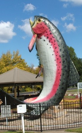 The Big Trout 1.jpeg