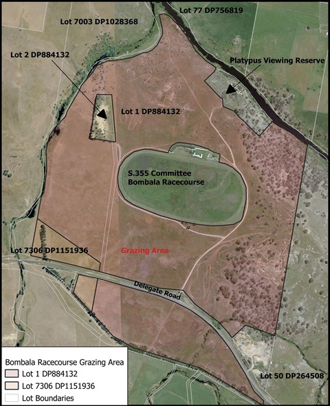 Map Indicative - BombalaRaceCourseGrazingArea_V1.jpg