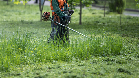 Cutting grass with brush cutter.png