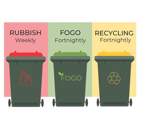 WEBSITE BIN COLLECTION IMAGE.png