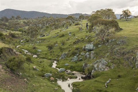 Wollondibby Creek.jpg