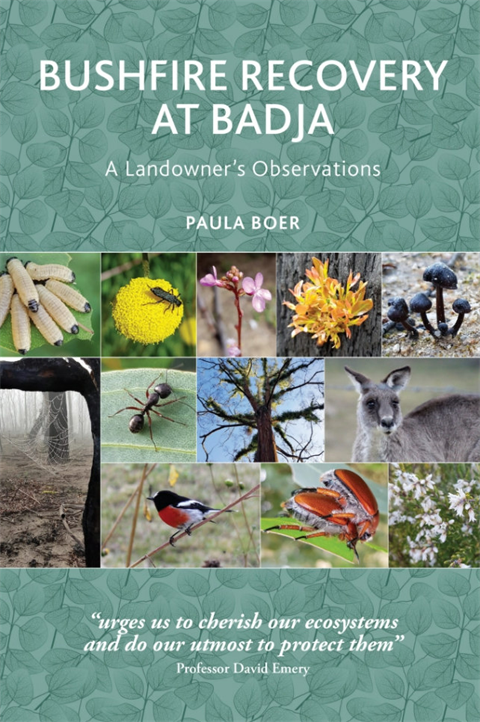 Bushfire Recovery at Badja book cover