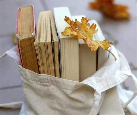 Village Library Service - image for website.png