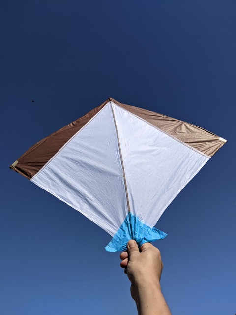 Library-craft-kite.jpg
