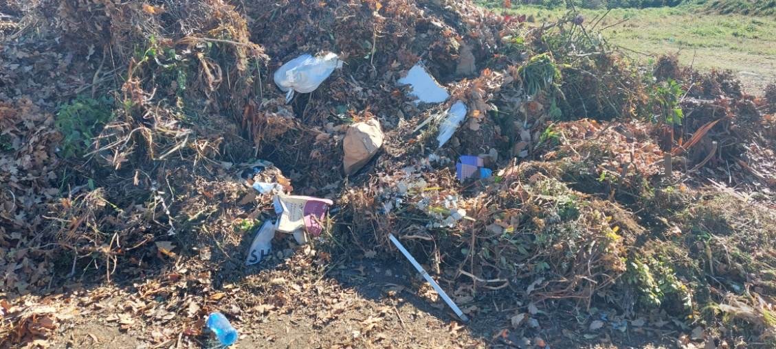 Contaminated FOGO collection at Cooma Landfill