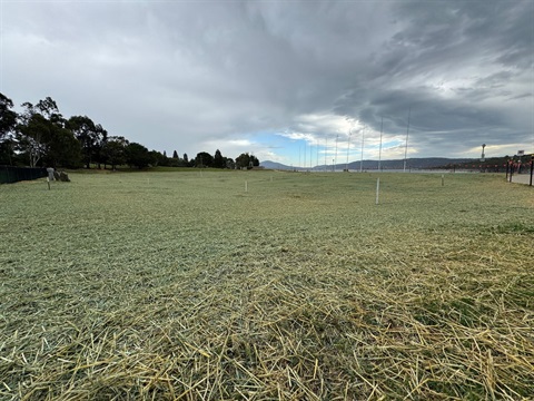 An image depicting the completed hydroseeding of one section of Jindabyne's Banjo Paterson Park, with Lake Jindabyne and the mountains in the background.