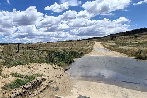 Werralong Road Bulundara Creek Causeway in January 2025, paddocks and trees in background