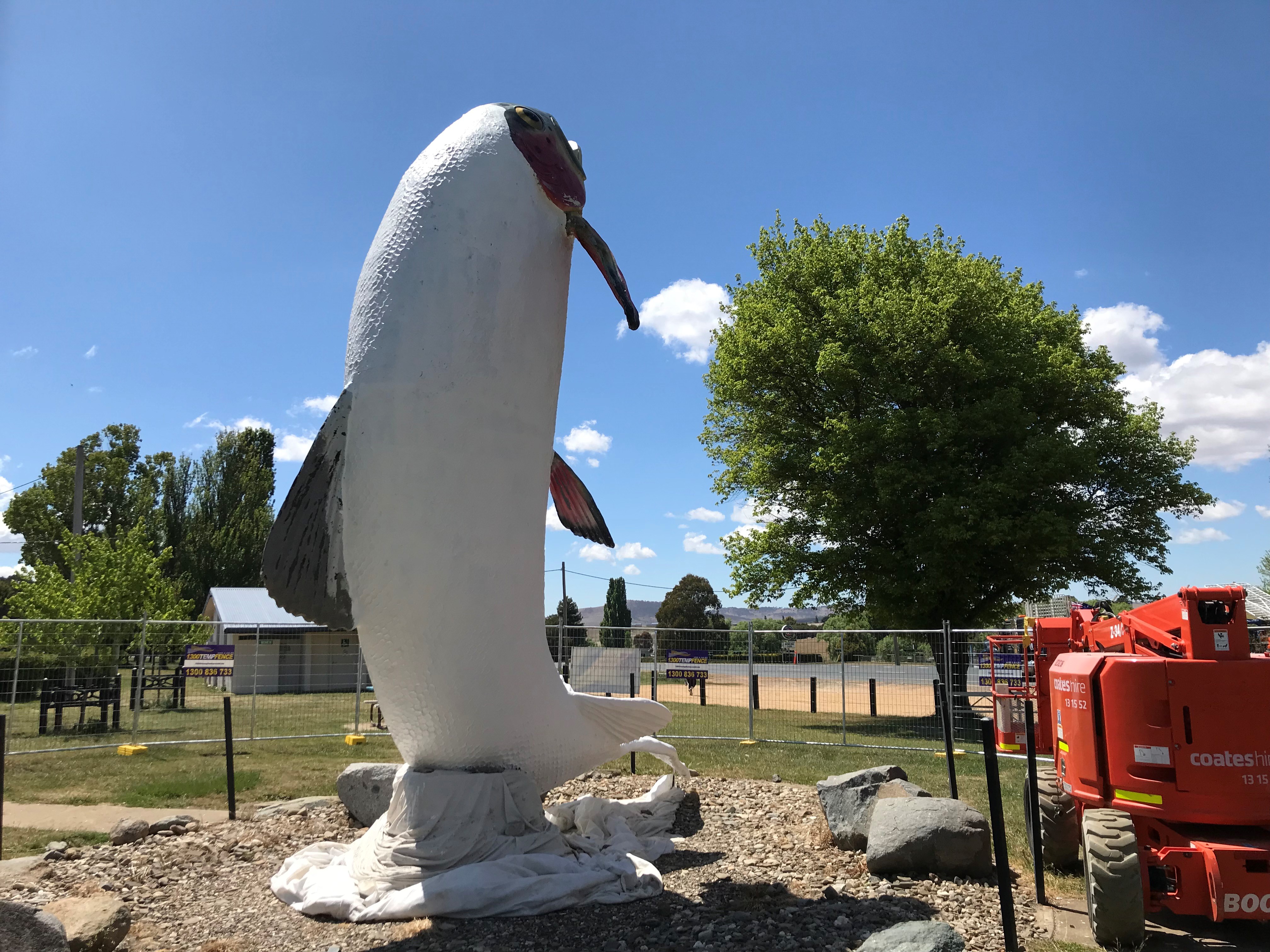 Adaminaby's Big Trout with paint stripped off during restoration in 2023