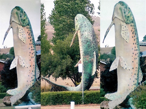 Composite of three photographs showing the original paint design of Adaminaby's Big Trout sculpture