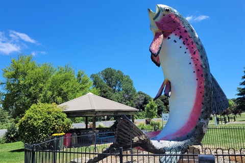 An image of Adaminaby's Big Trout in January 2023, pre-restoration.