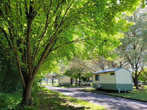 bombala cabin.jpg