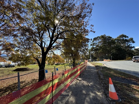Closed path and detour adjoining the Jindabyne Claypits Upgrade Project worksite in May 2025, showing path, cone, tree, and temp fencing