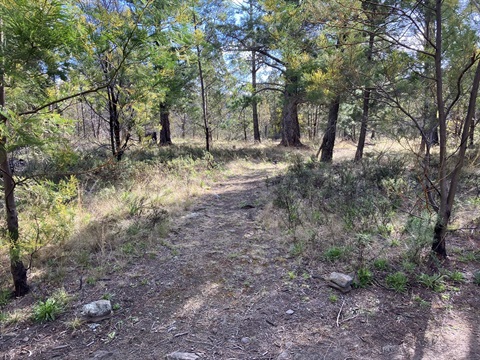 Cooma North Ridge Reserve - Borrow Pits Track