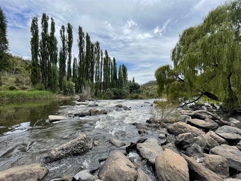 Cooma Weir 3.jpg