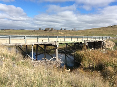 The old wood and concrete Cowbed Bridge viewed from the side, with rolling grassy hills and grazing cattle in the distance.