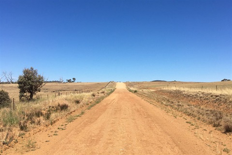 An unsealed section of Dry Plains Road on a sunny day in 2019.
